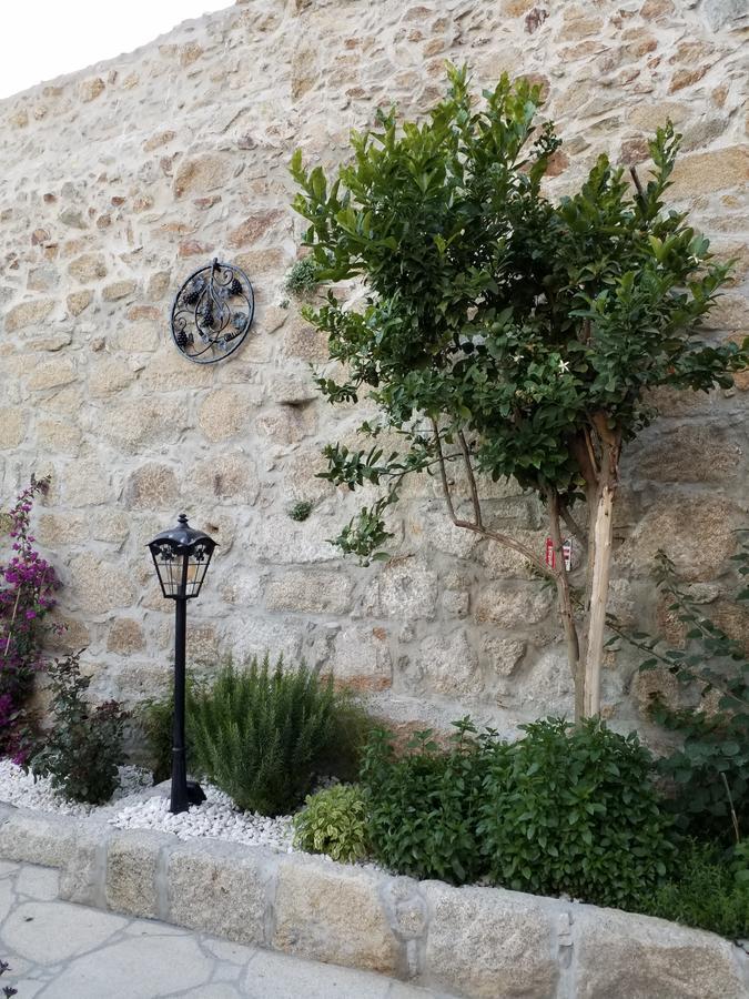 Bed & Breakfast Private Porto